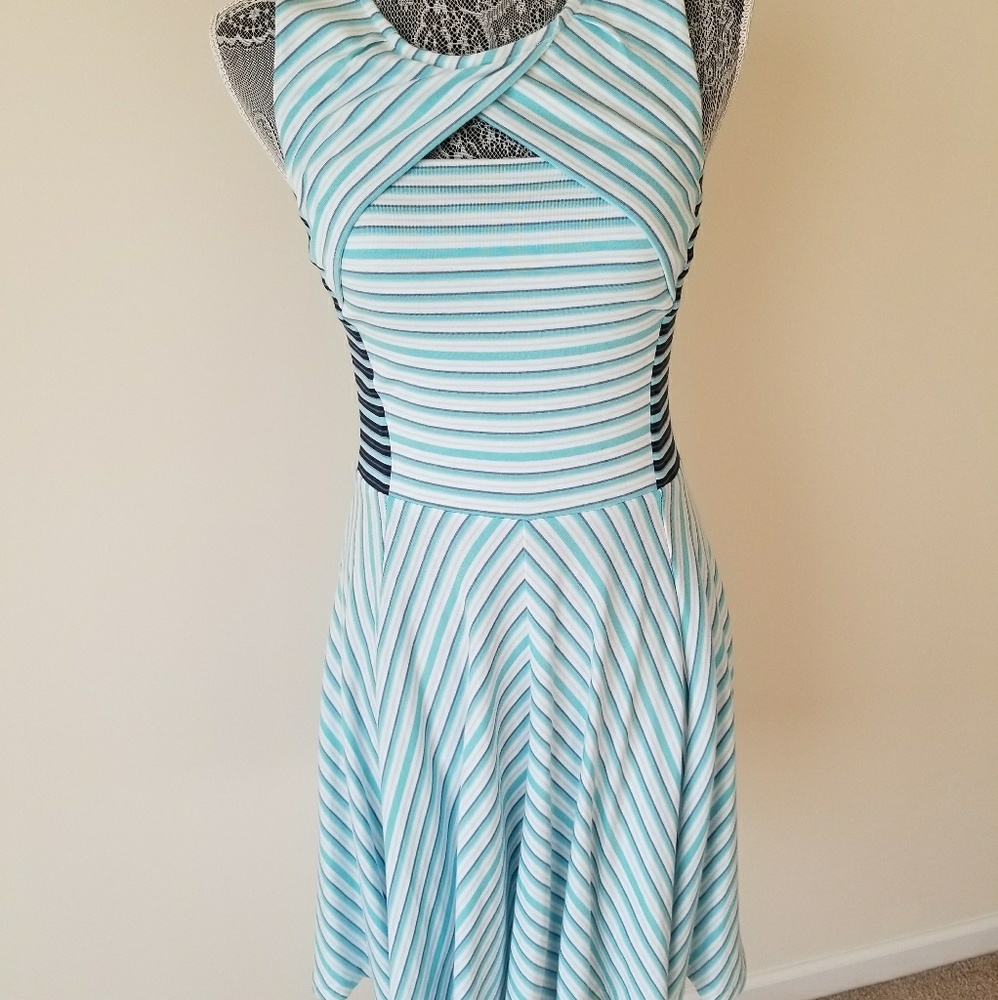 Dress. Fit and flair